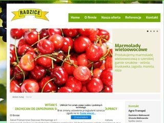 Miniaturka radzice.pl