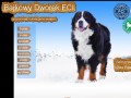 Podgląd bajkowydworek.com.pl