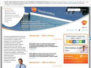 Podgląd gsk.com.pl