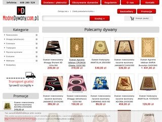 Podgląd modnedywany.com.pl