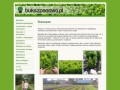 Podgląd bukszpanowo.pl