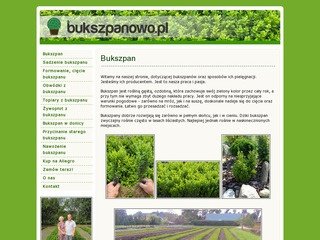 Podgląd bukszpanowo.pl