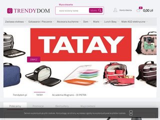 Podgląd trendydom.pl