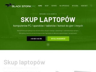Miniaturka blackstorkpc.pl