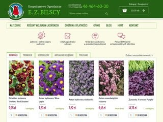 Podgląd bilscy.info