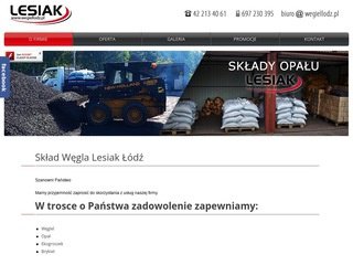Podgląd wegiellodz.pl