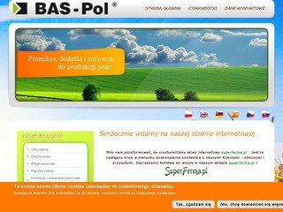 Podgląd bas-pol.pl