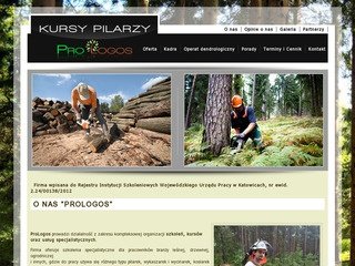 Podgląd kurspilarzy.pl