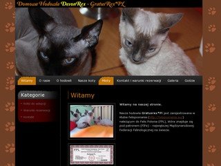 Podgląd devonrex.com.pl