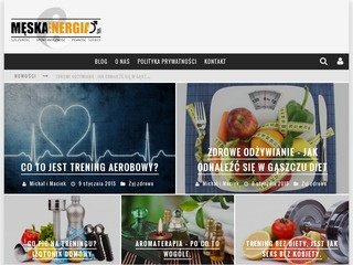 Podgląd meskaenergia.pl