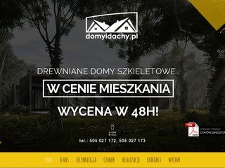Podgląd domyidachy.pl