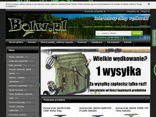 Podgląd bolw.pl