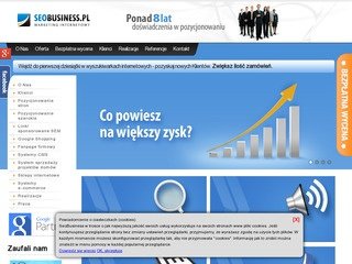 Miniaturka seobusiness.pl