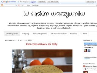 Miniaturka slaskiwarzywnik.blogspot.com