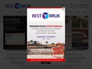 Podgląd best-bruk.pl