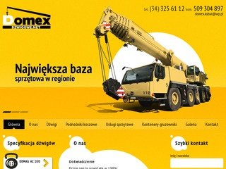 Podgląd dzwigowe.net