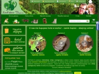 Podgląd zoofaktor.pl