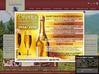 Podgląd hotel-jaskolka.pl