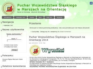 Podgląd pucharino.slask.pl