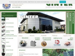 Podgląd ginter.pl