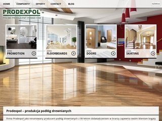 Podgląd prodexpol.pl