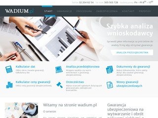Podgląd wadium.pl