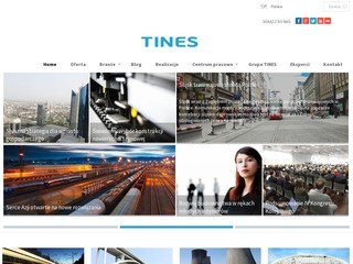Podgląd tinescg.com