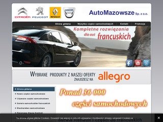 Podgląd automazowsze.pl