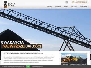 Podgląd vegalodz.pl