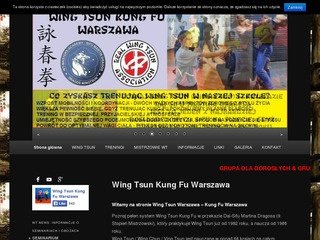 Podgląd kungfu.edu.pl
