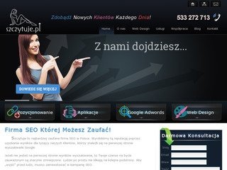 Podgląd szczytuje.pl