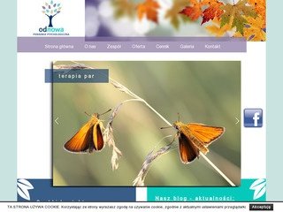 Podgląd poradniaodnowa.pl