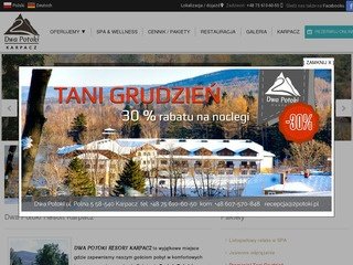 Podgląd 2potoki.pl
