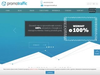 Podgląd promotraffic.pl