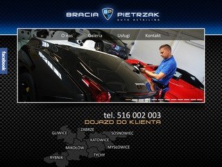 Podgląd braciapietrzak.pl