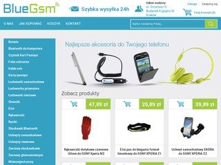 Miniaturka bluegsm.pl