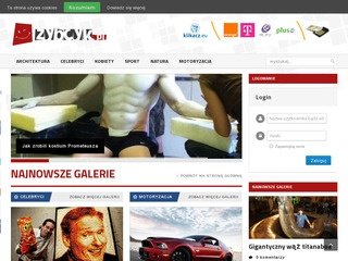 Miniaturka zybcyk.pl