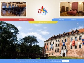 Podgląd konferencje-uniejow.pl