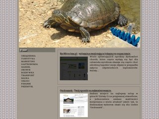 Miniaturka ananda.com.pl