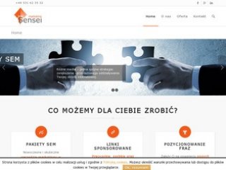Podgląd marketing-sensei.pl
