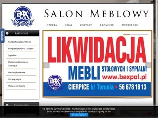 Podgląd baxpol.pl