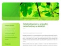 Podgląd worker.net.pl