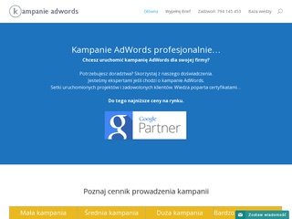 Miniaturka kampanieadwords.org