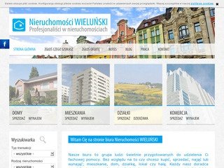Podgląd wielunski.eu