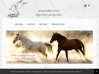 Podgląd osrodek-pegaz.pl
