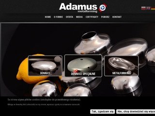 Podgląd adamus.pl