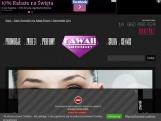 Podgląd salon-kosmetyczny-bytom.pl