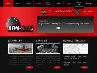 Podgląd dyna-mite.pl