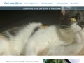 Podgląd cathotel24.pl