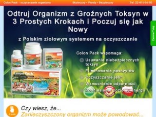 Podgląd systemoczyszczania.pl
